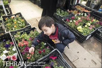 بازار گل شهید محلاتی 13
