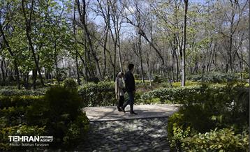 باغ ایرانی در ایام نوروز  7