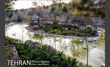 باغ پرندگان 16