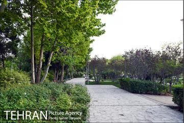 بوستان پلیس 12