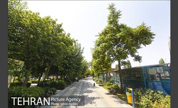 بوستان المهدی 11