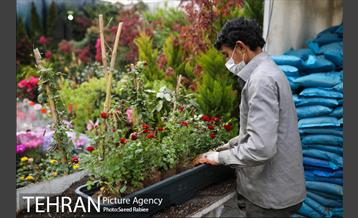 بازار گل و گیاه غرب تهران در آستانه نوروز 21