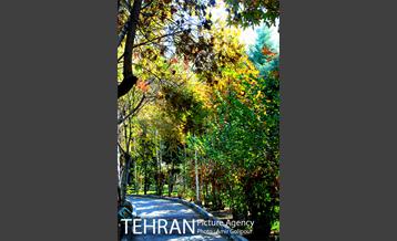 شهرک صدرا 32