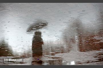 بارش باران زمستانی در تهران 10