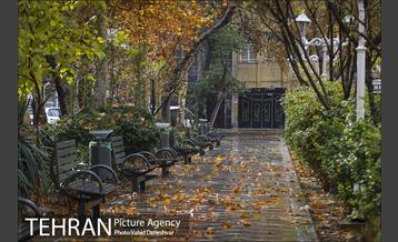 پاییز زیبای پایتخت- 4 13