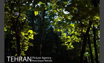 بوستان باغ ایرانی 34