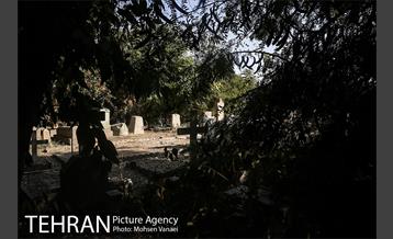 گورستان لهستانی‌های تهران 21