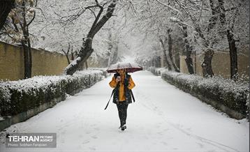 بارش اولین برف زمستانی در تهران 11