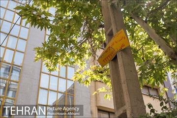تبلیغات کوچک و بزرگ ، بلای جان نمای ساختمان ها‎ 18