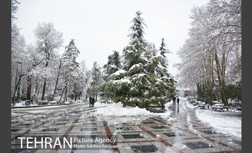 روز برفی تهران در بوستان ملت 4