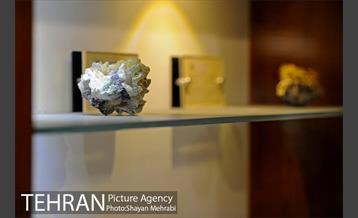 موزه طبیعت و حیات وحش دارآباد تهران 38