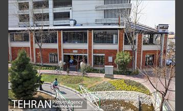 مرکز گل و گیاه ایوار 18