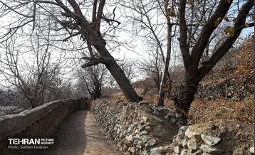 اینجا کارگاهه؛ اکو پارک فرحزاد 16