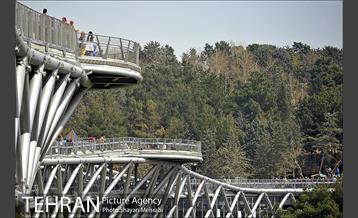 به مناسبت ده سالگی پل طبیعت 9