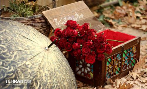 یلدا در قاب کیانشهر 37