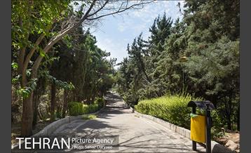 بوستان بهشت مادران 12