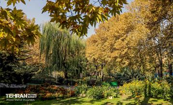 سمفونی رنگ های پاییزی - بوستان اندیشه 17