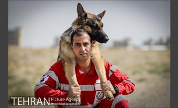 سگ های آنست 14