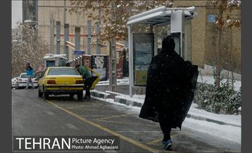 بارش نخستین برف پاییزی تهران 31