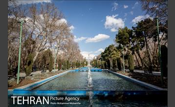 پارک شهر بعد از یک صبح بارانی 5