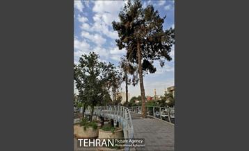 چهره جدید میدان بازار دوم نازی آباد 8