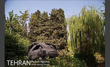 بوستان نیاوران 17