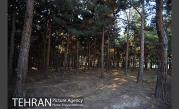 پارک جنگلی سرخه حصار 38