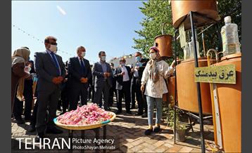 آیین احیای بوستان اکو 4