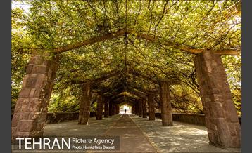 پاییز زیبای پایتخت- 2 5