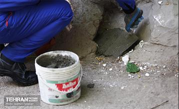 مبارزه با جانوران موذی 19