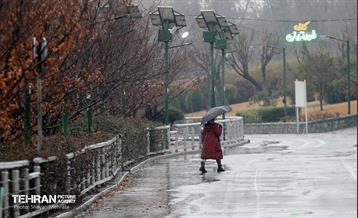 بارش باران زمستانی در تهران 30