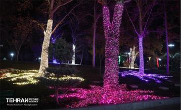 جشنواره «نور در یلدای ایرانی» در بوستان ملت 21