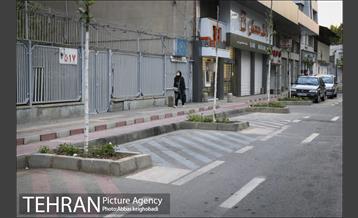 پارک خودرو‌ بین درختان چنار 22