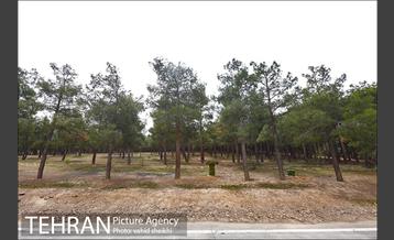 پارک ملی سرخه‌حصار 20