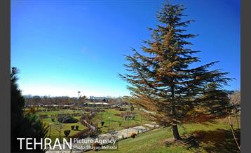 بوستان پلیس 38