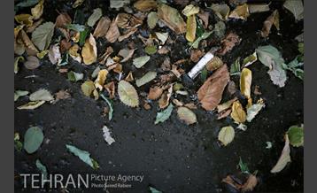 فیلتر سیگار زباله است 5