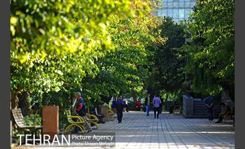 بوستان هنرمندان (ایرانشهر) 15