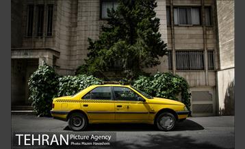 شهرنگار؛ محله بهار 6