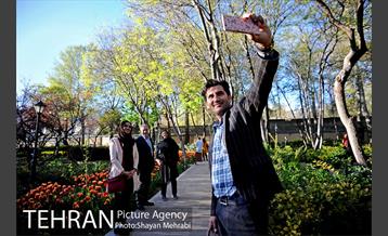 رویش گل های لاله در باغ ایرانی 32