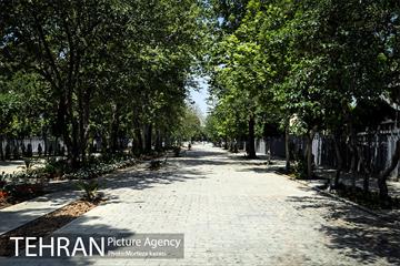 مراحل آماده سازی گذر پیاده راه استاد شهریار 4