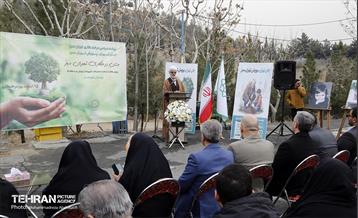 جشن درختکاری در منطقه ۵ 30