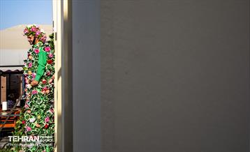 پایتخت میزبان جشنواره گل و گلاب 8