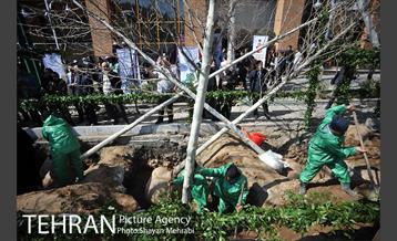 احیای درختان خیابان  ولیعصر( عج) با حضور شهردار تهران  38