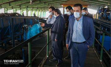 بازدید اعضای شورای شهر از پروژه های سازمان مدیریت پسماند 35