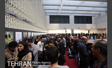 روز ششم دوازدهمین جشنواره بین المللی سینماحقیقت 6