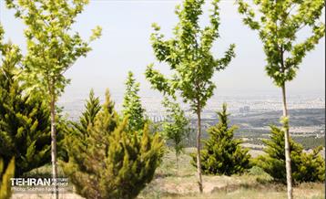 بازدید اصحاب رسانه از کمربند سبز 12