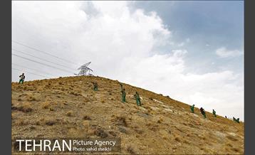 بازدید شهردار تهران از پروژه درختکاری کمربند سبز تهران  11