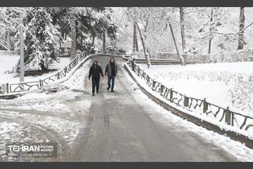 صبح برفی بوستان ملت 5