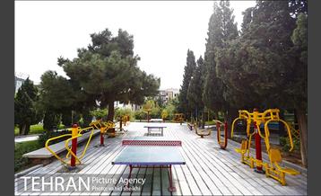 بوستان سنگی 17
