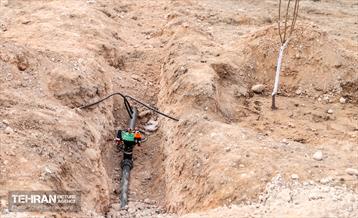 مراسم روز درختکاری 25